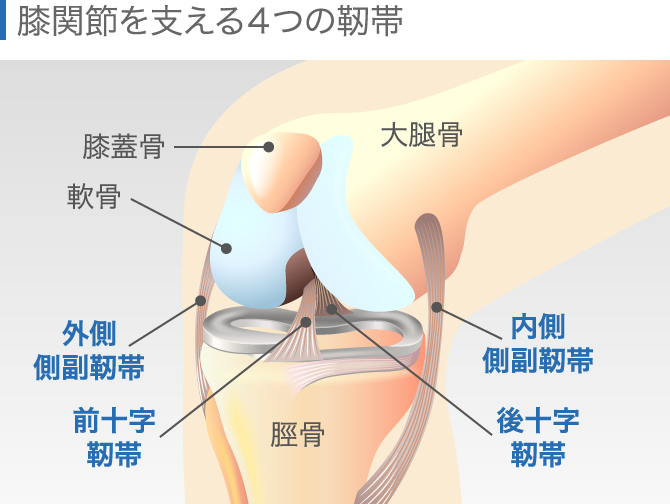 膝の違和感の症状チェック 痛くないけど気になる原因と対処法